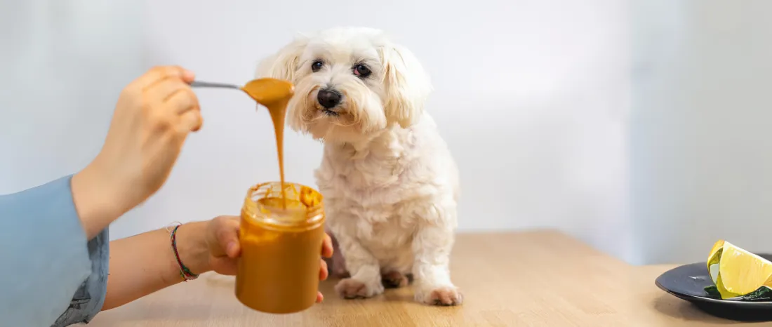 dog-peanut-butter